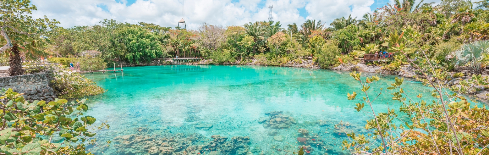 dmc-en-riviera-maya-banner