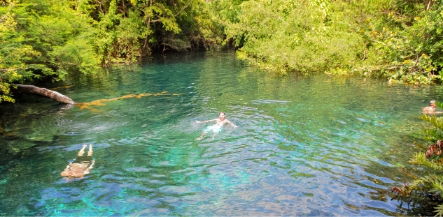 DMC-in-Dominican-Republic-reserva-ojos-indigenas