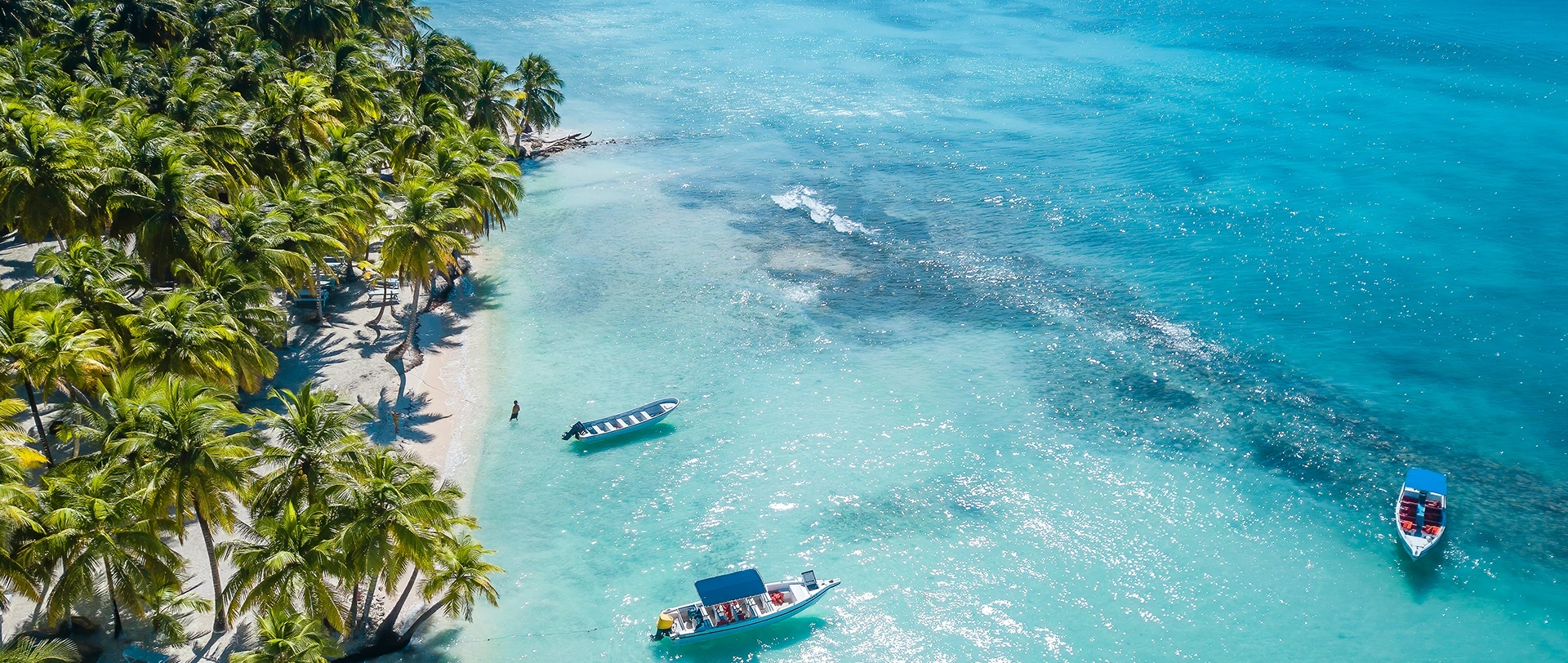 Playa paradisíaca de República Dominicana con palmeras y mar turquesa
